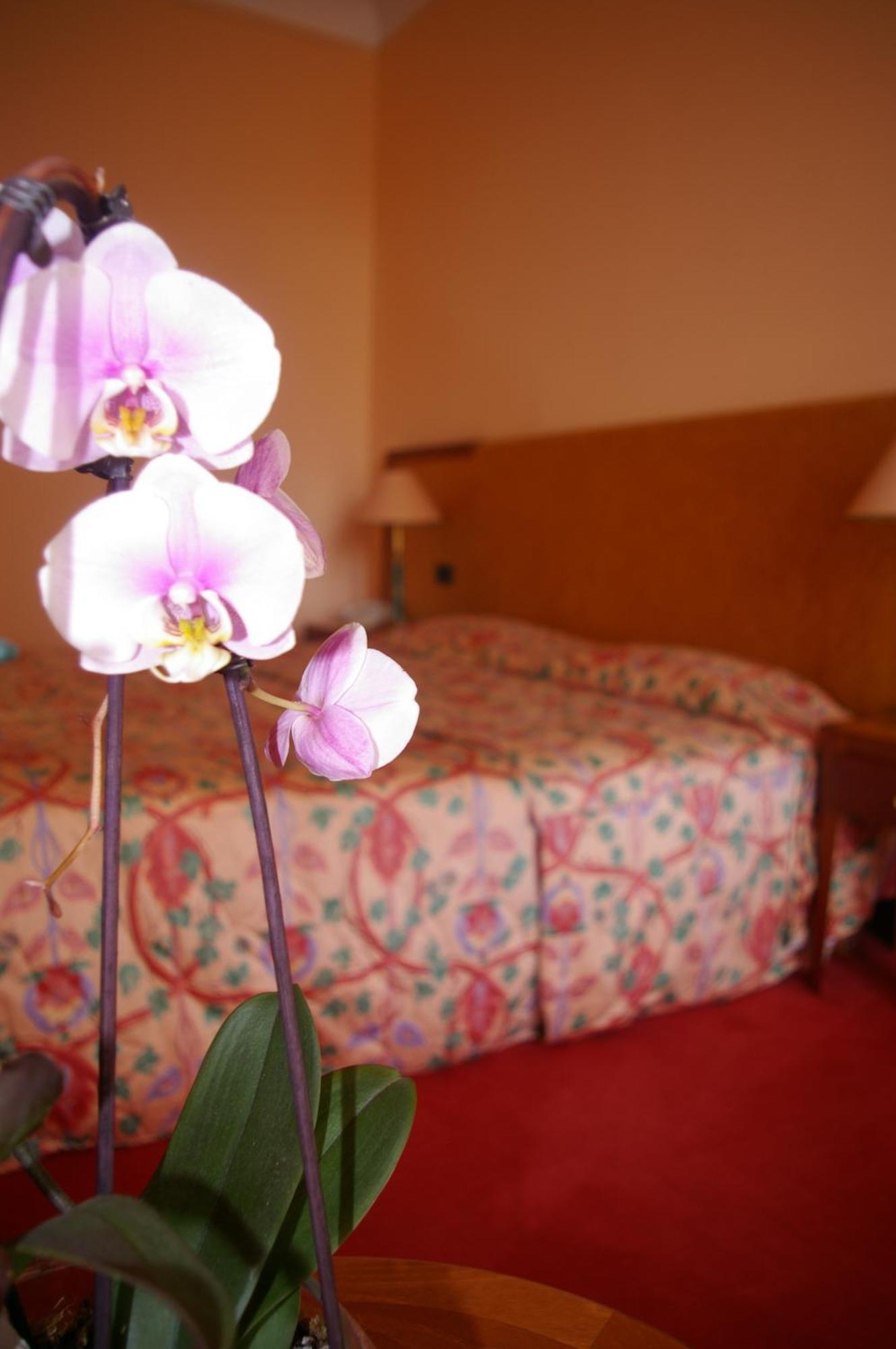 Hotel Aletti Palace Vichy Dış mekan fotoğraf